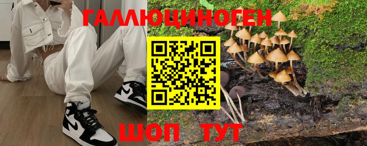 Галлюциногенные грибы прущие грибы  Вход с VPN  Великий Новгород 