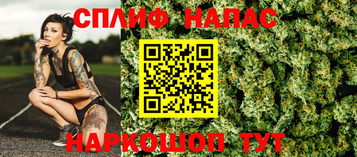 Конопля Ganja Великий Новгород